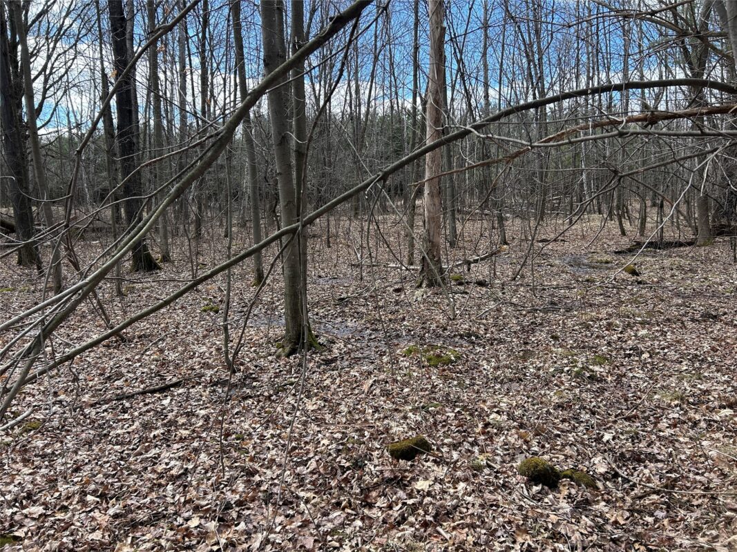 Land at Tax ID 21 Highway 63, Shell Lake, WI 54871 — photo 16