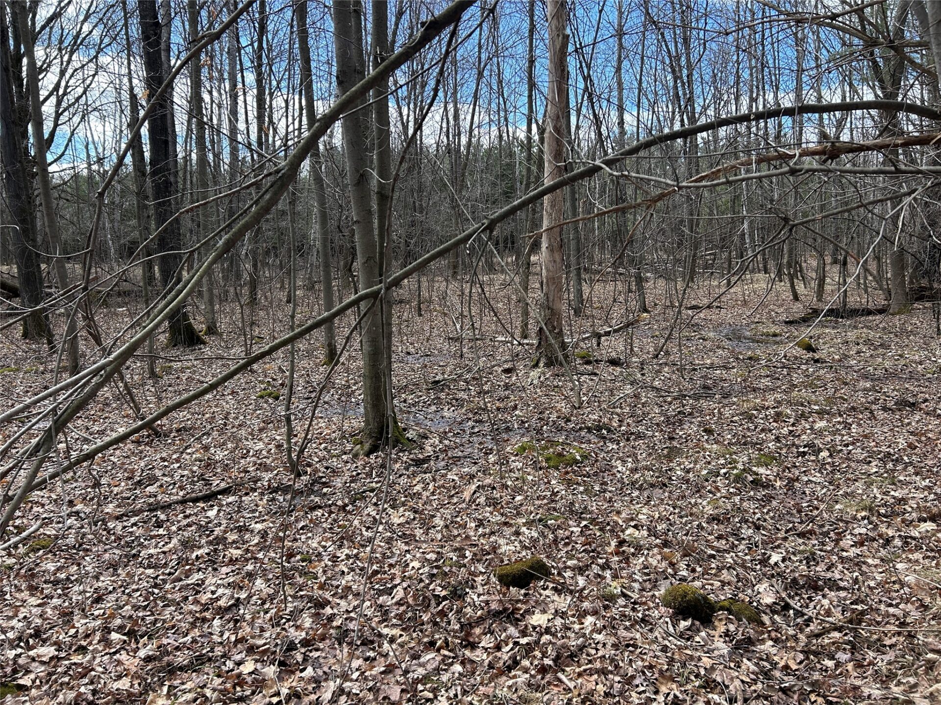 Land at Tax ID 21 Highway 63, Shell Lake, WI 54871 — photo 16