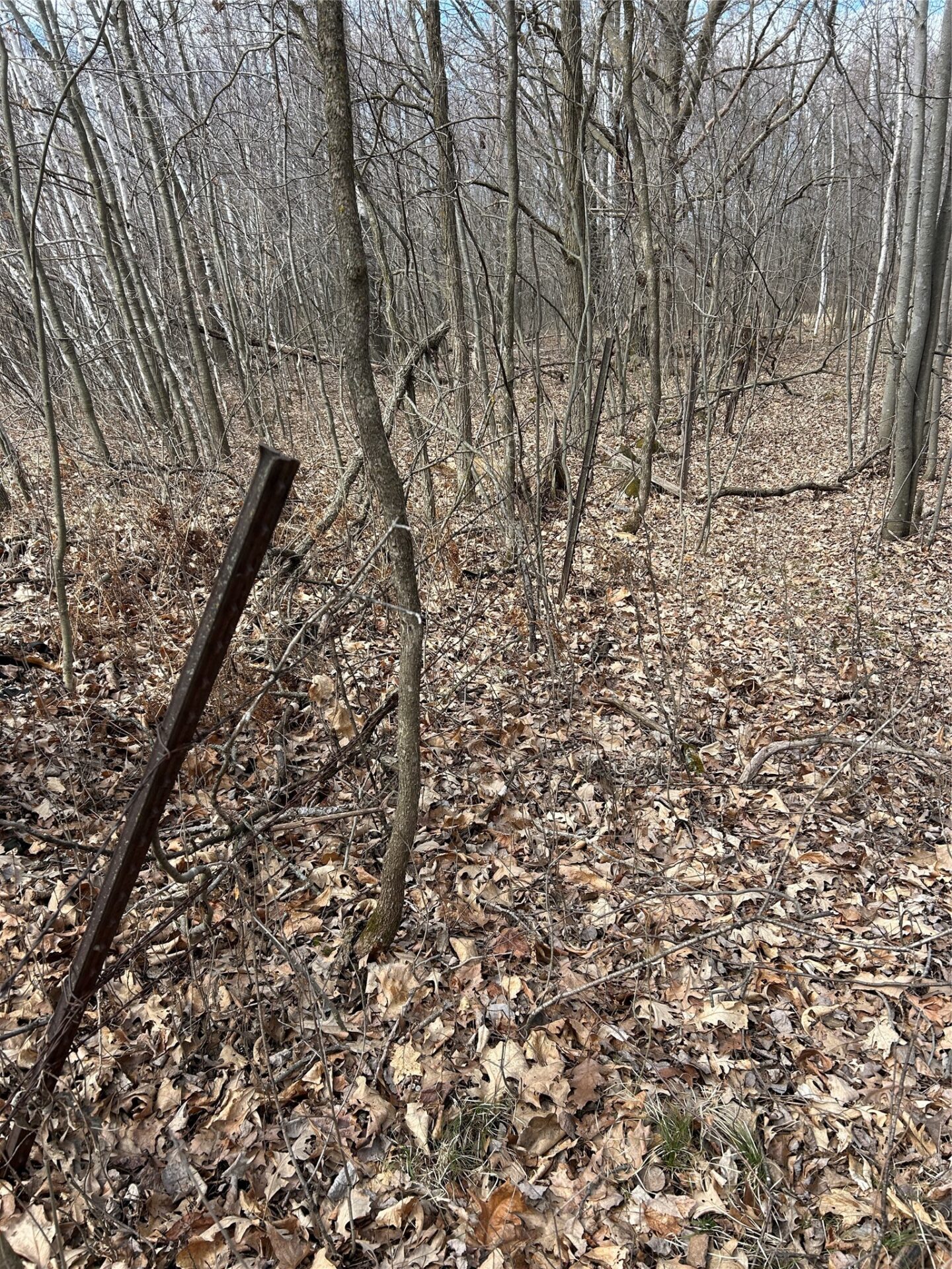 Land at Tax ID 21 Highway 63, Shell Lake, WI 54871 — photo 17