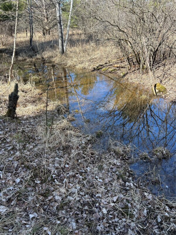 Land at Tax ID 21 Highway 63, Shell Lake, WI 54871 — photo 18