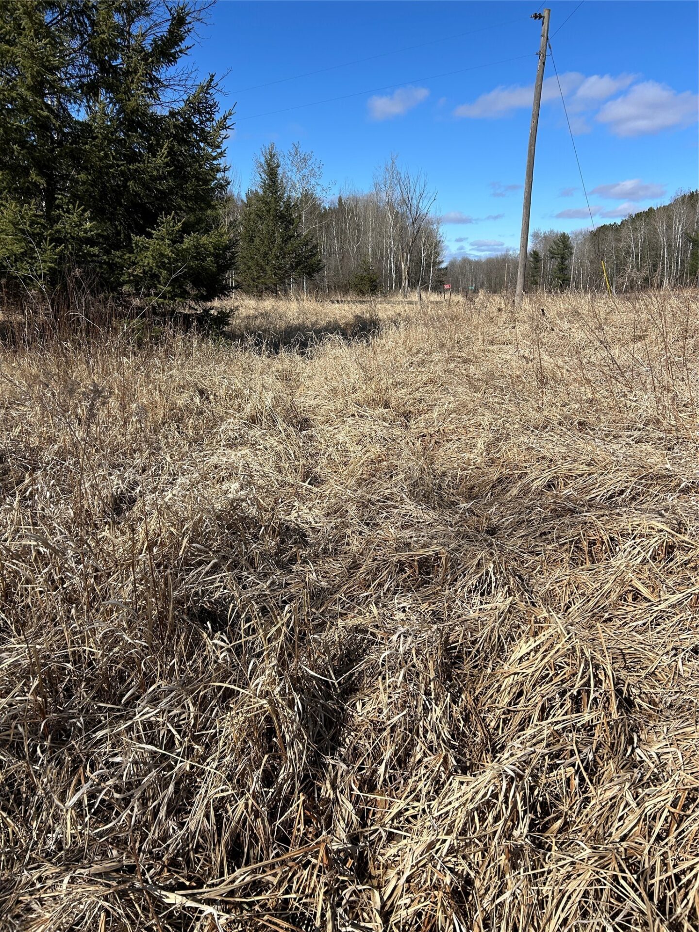 Land at Tax ID 21 Highway 63, Shell Lake, WI 54871 — photo 19