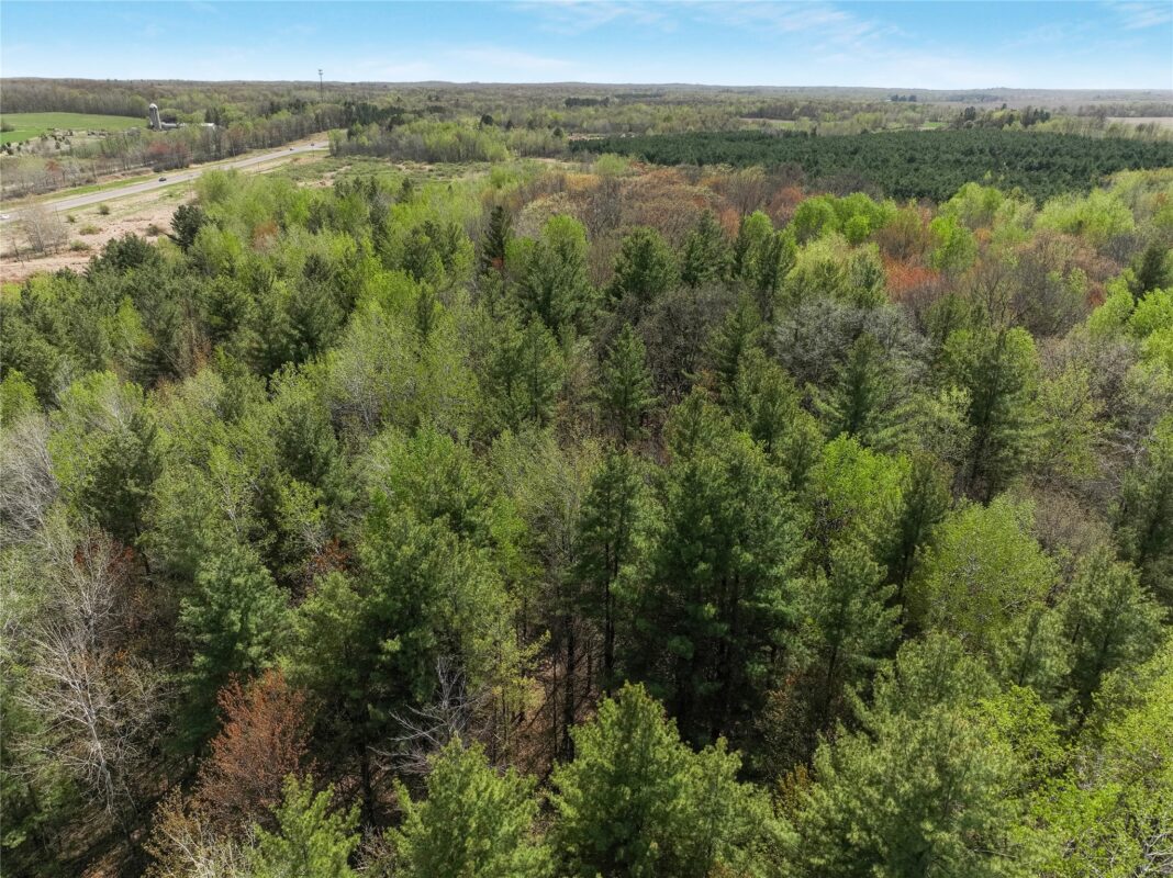 Land at Tax ID 21 Highway 63, Shell Lake, WI 54871 — photo 20