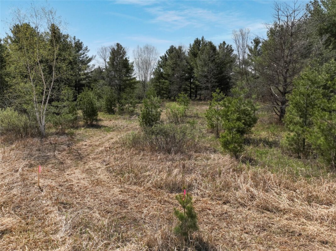Land at Tax ID 21 Highway 63, Shell Lake, WI 54871 — photo 5