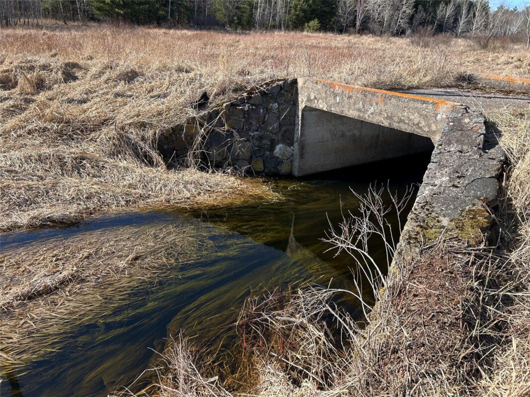Land at Tax ID 21 Highway 63, Shell Lake, WI 54871 — photo 6
