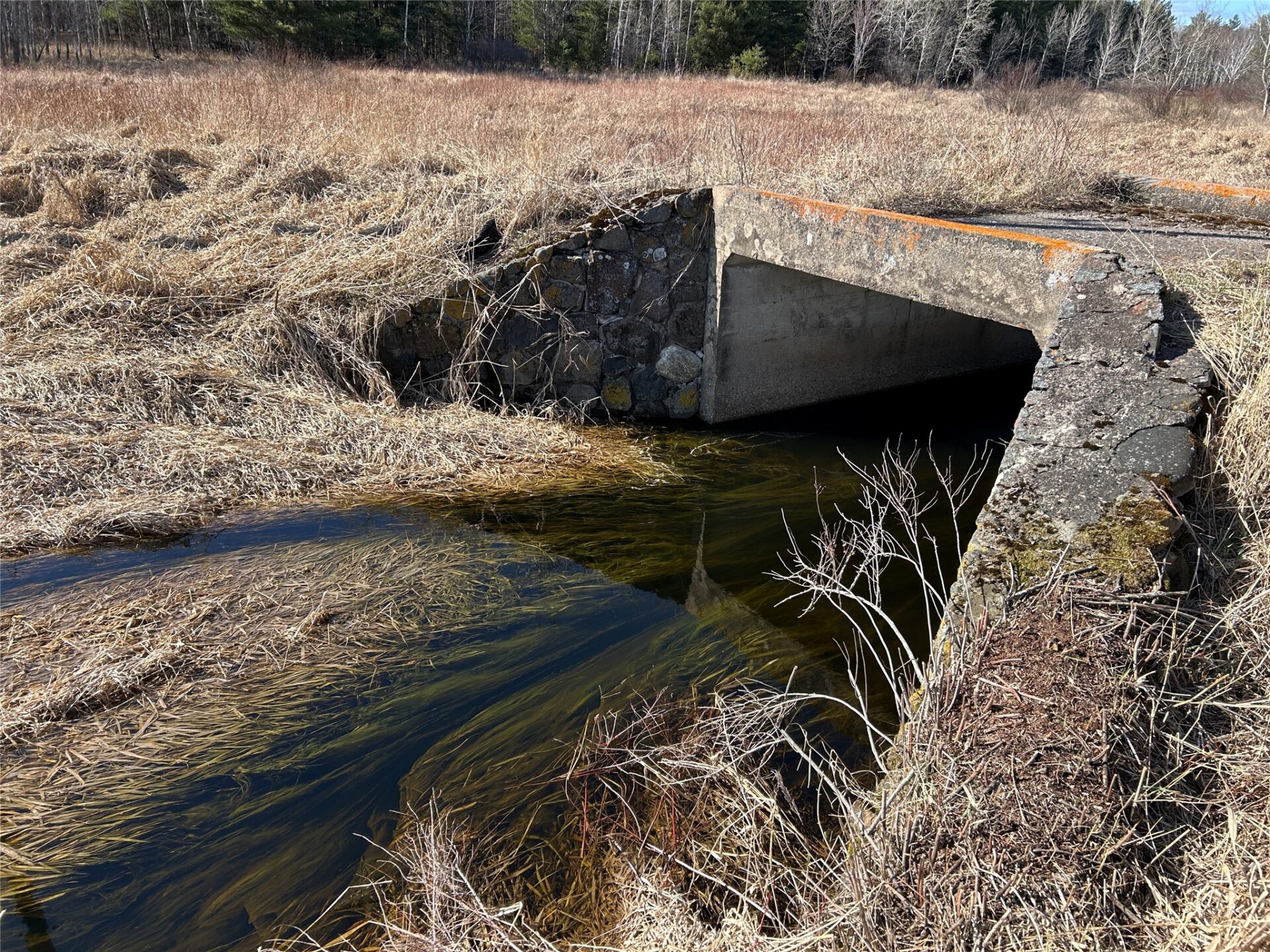 Land at Tax ID 21 Highway 63, Shell Lake, WI 54871 — photo 6