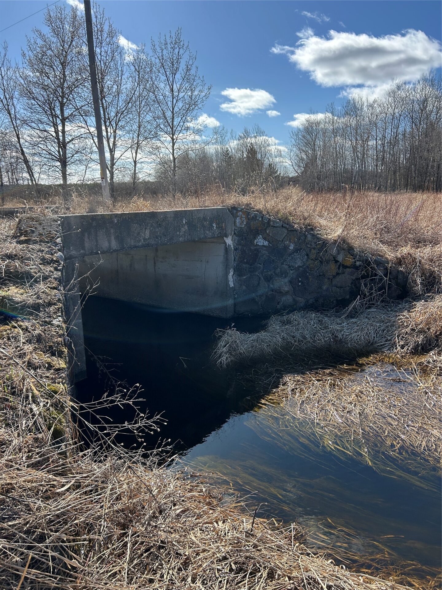 Land at Tax ID 21 Highway 63, Shell Lake, WI 54871 — photo 7