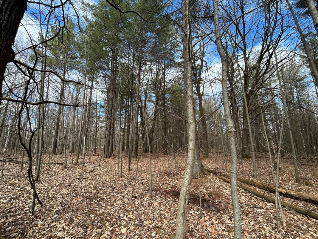 Land at Tax ID 21 Highway 63, Shell Lake, WI 54871 — photo 10