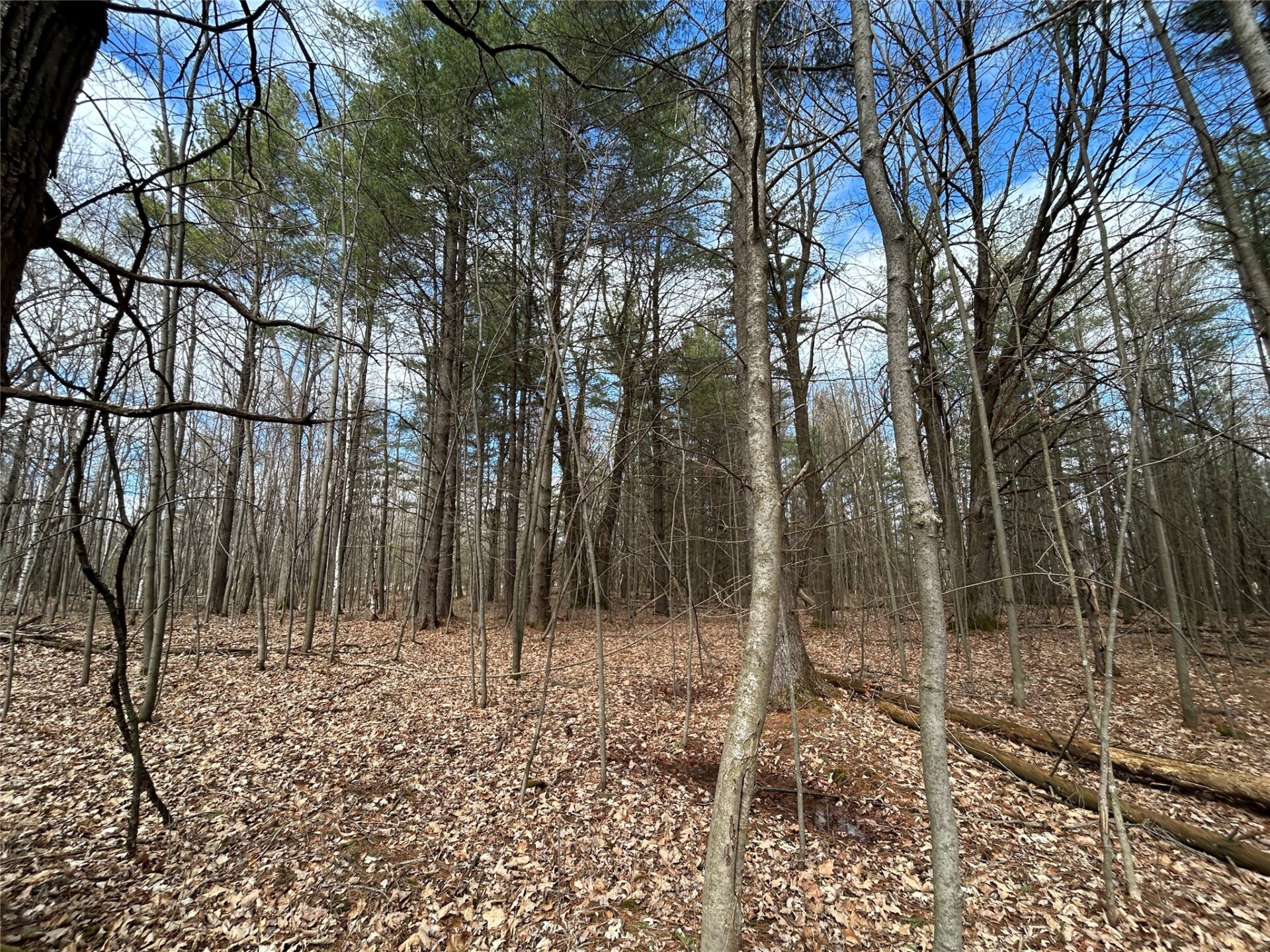 Land at Tax ID 21 Highway 63, Shell Lake, WI 54871 — photo 10