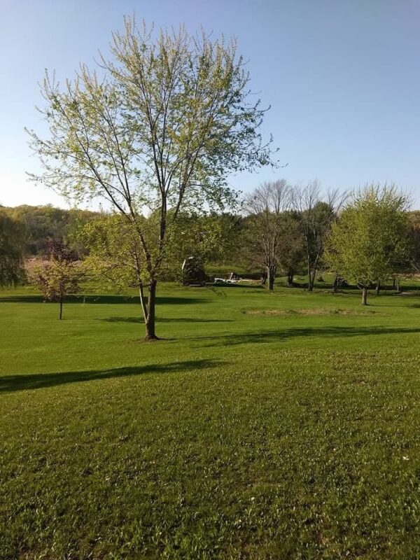 Residential at W10348 Prindle Road, Merrillan, WI 54754 — photo 39