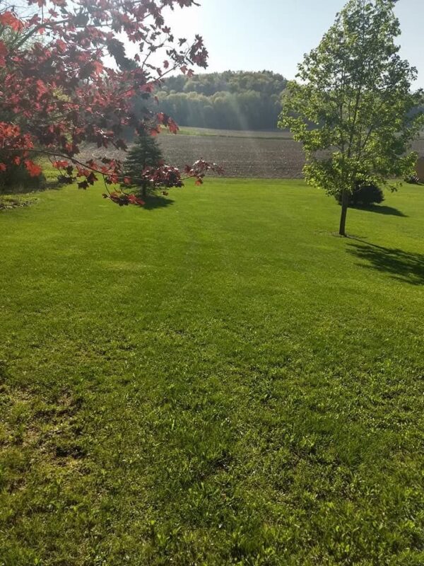 Residential at W10348 Prindle Road, Merrillan, WI 54754 — photo 41
