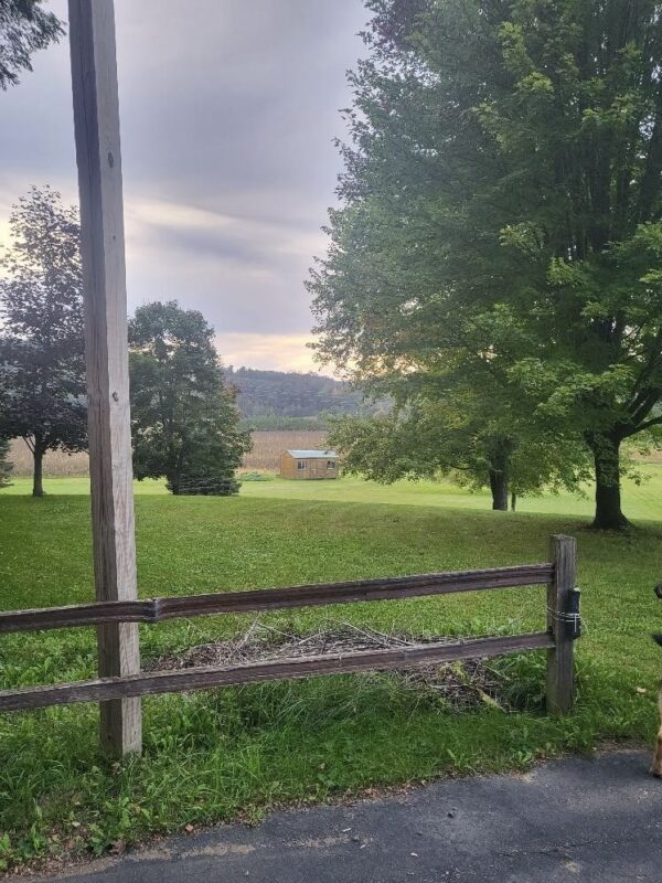 Residential at W10348 Prindle Road, Merrillan, WI 54754 — photo 44