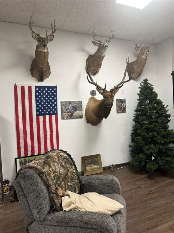 Residential at W14297 State Highway 8, Weyerhaeuser, WI 54895 — photo 10