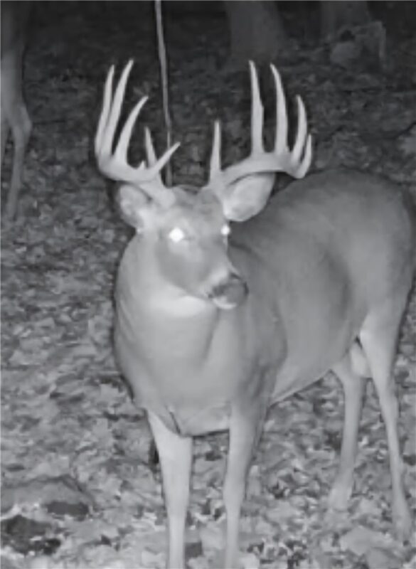 Residential at W16694 Hogback Road, Chetek, WI 54728 — photo 9