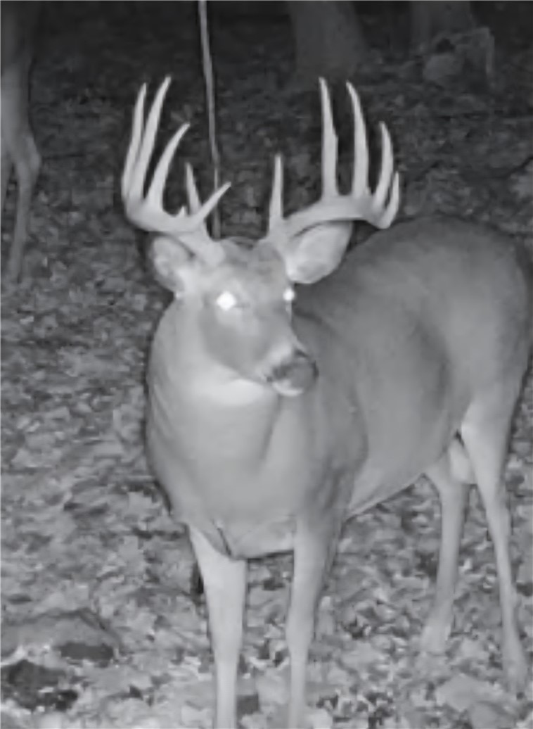 Residential at W16694 Hogback Road, Chetek, WI 54728 — photo 9