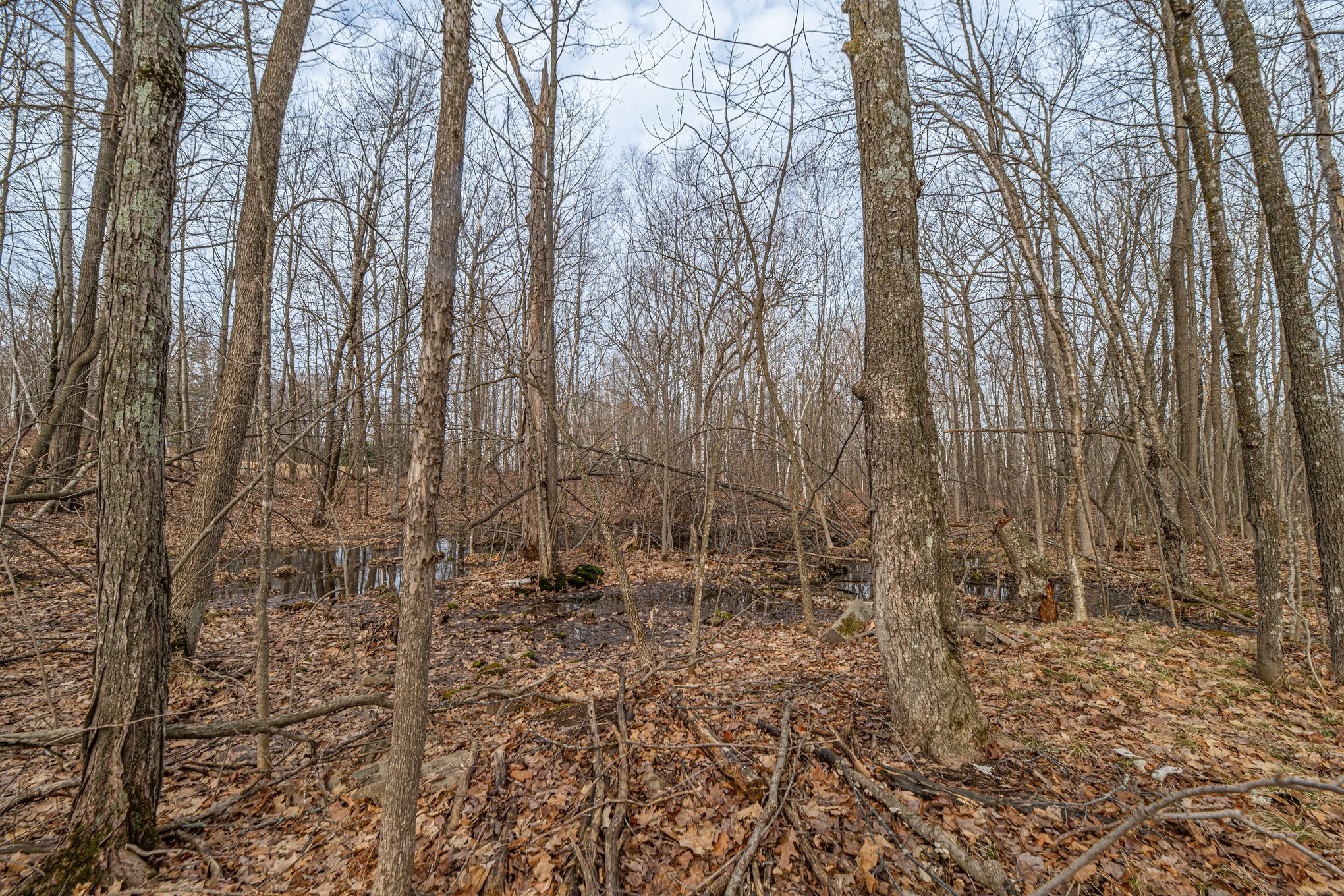 W2294 Highway 70  Spooner WI 54801