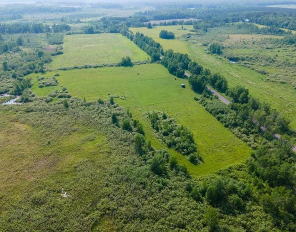 Land at W74TBD Homestead Road, Conrath, WI 54731 — photo 5