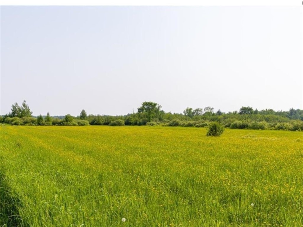 Land at W74TBD Homestead Road, Conrath, WI 54731 — photo 7