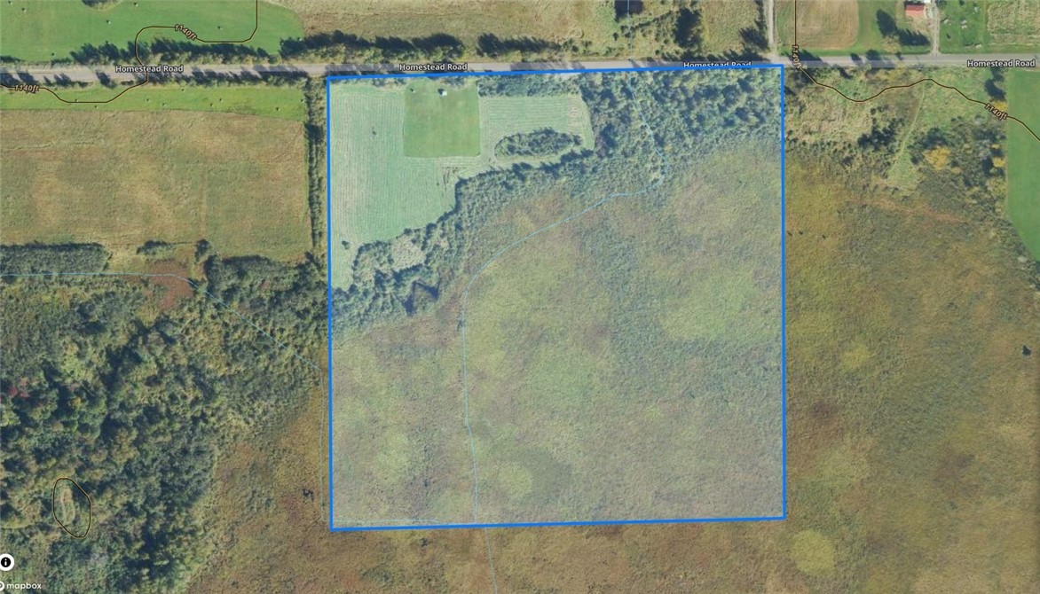 Land at W74TBD Homestead Road, Conrath, WI 54731 — photo 8