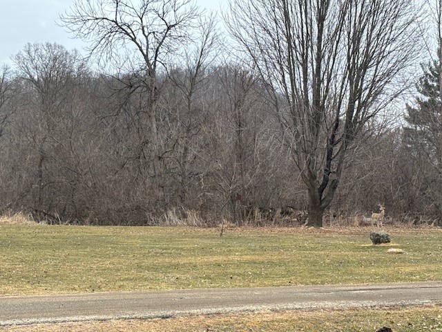 Residential at W9295 County Hwy SS, Pepin, WI 54759 — photo 5