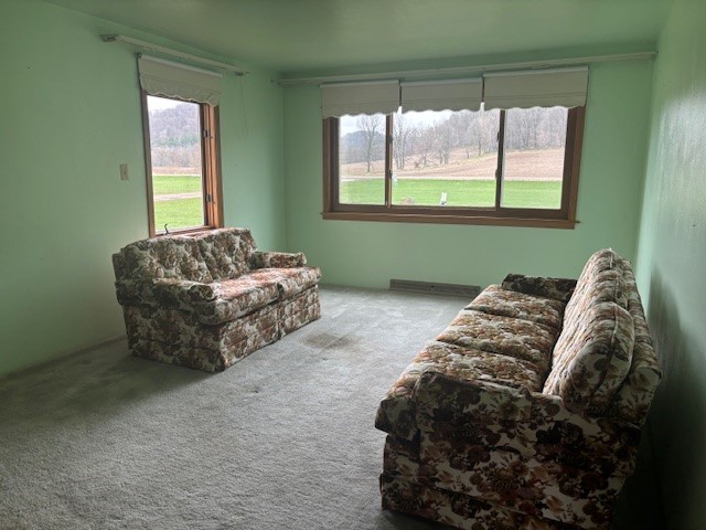 Residential at W9295 County Hwy SS, Pepin, WI 54759 — photo 6