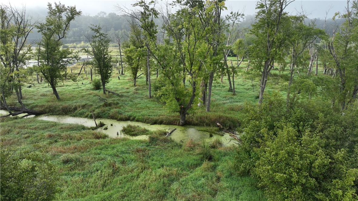 Land at XX Cesler Valley Rd, Alma, WI 54610 — photo 2