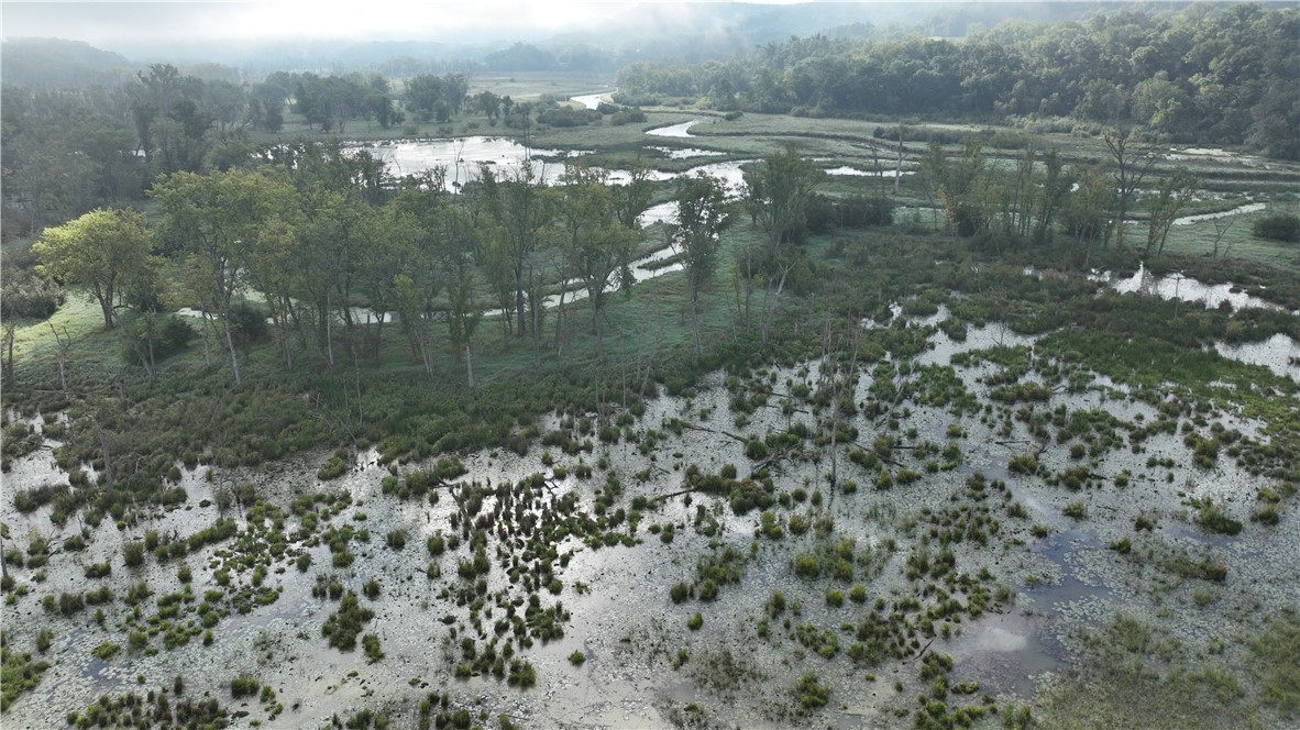 Land at XX Cesler Valley Rd, Alma, WI 54610 — photo 11