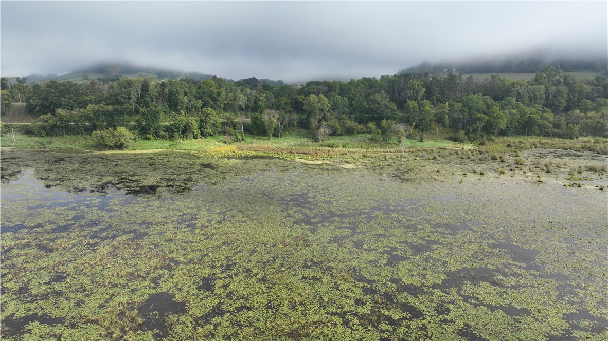 Land at XX Cesler Valley Rd, Alma, WI 54610 — photo 13