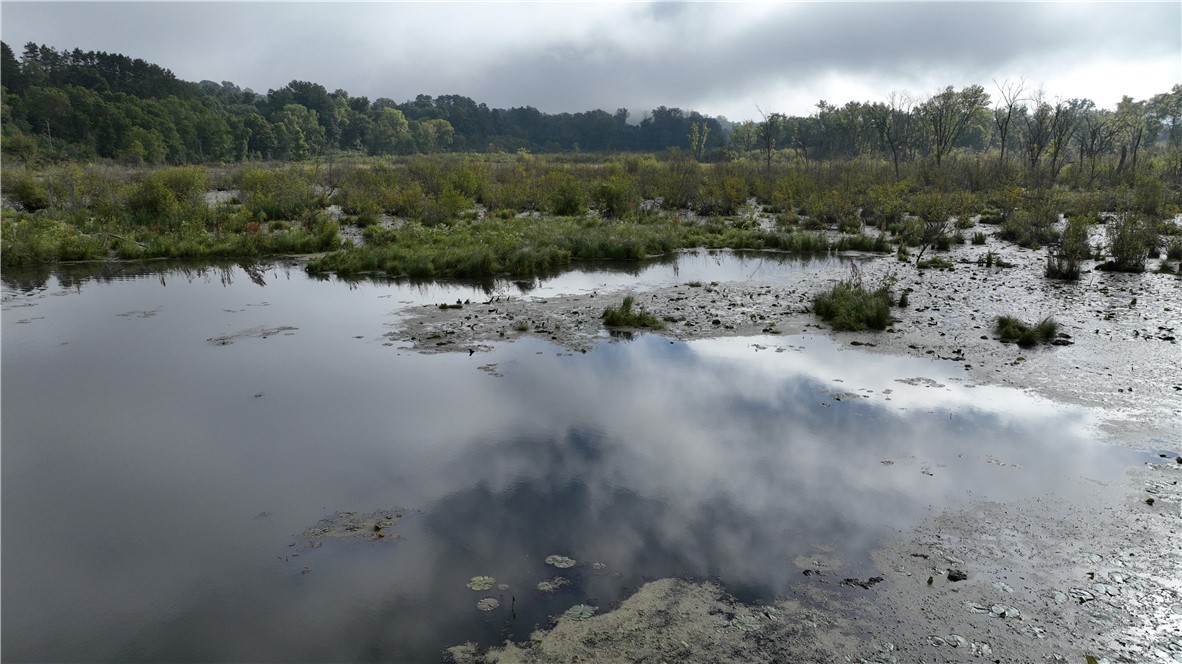 Land at XX Cesler Valley Rd, Alma, WI 54610 — photo 14