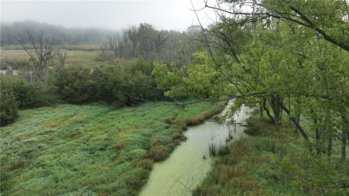 Land at XX Cesler Valley Rd, Alma, WI 54610 — photo 3