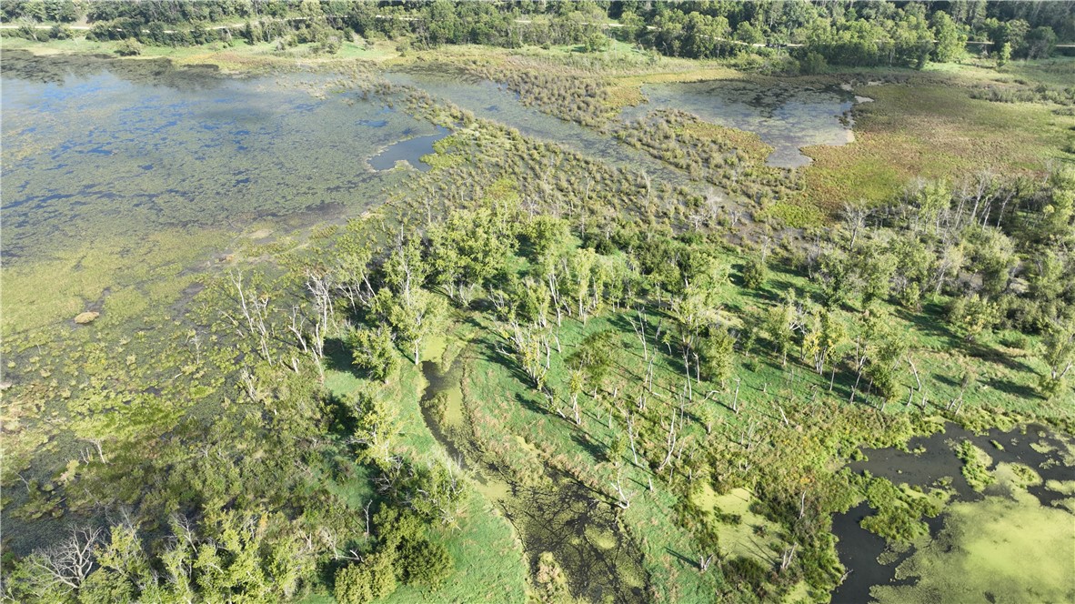 Land at XX Cesler Valley Rd, Alma, WI 54610 — photo 22