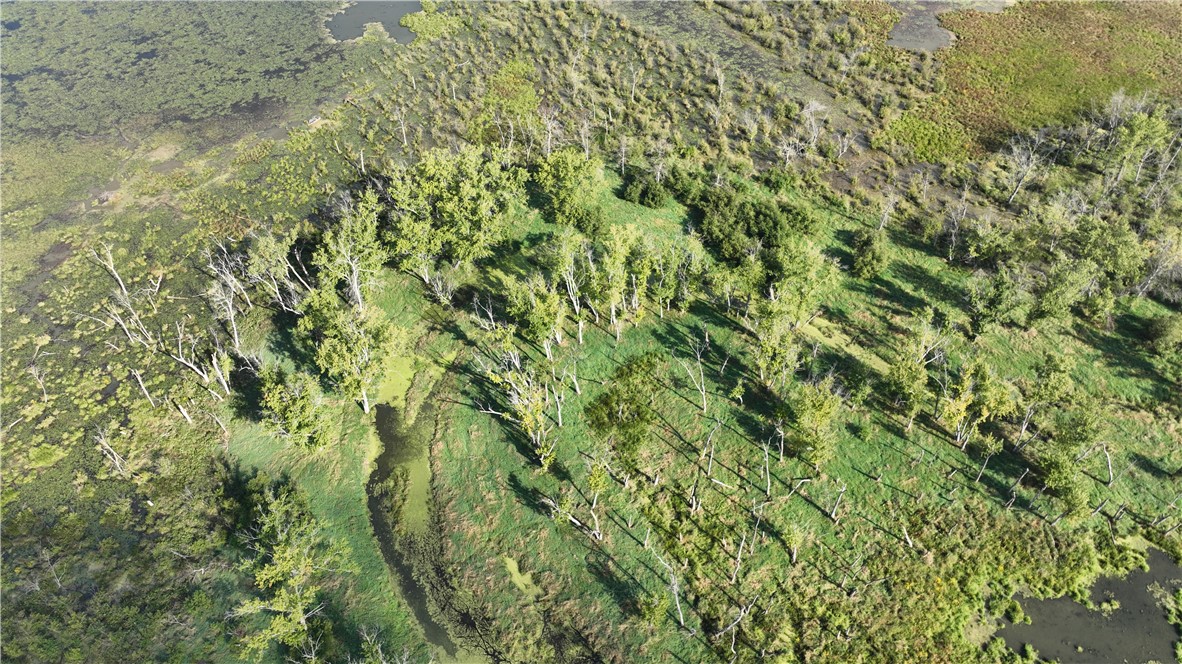 Land at XX Cesler Valley Rd, Alma, WI 54610 — photo 23