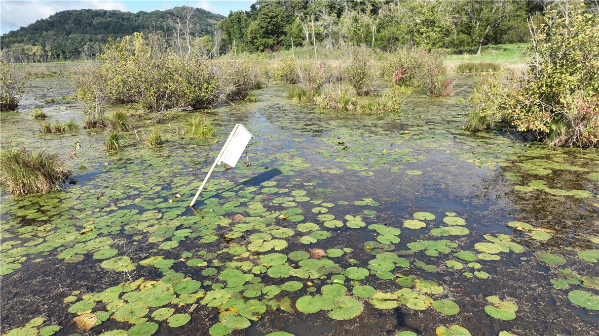 Land at XX Cesler Valley Rd, Alma, WI 54610 — photo 24