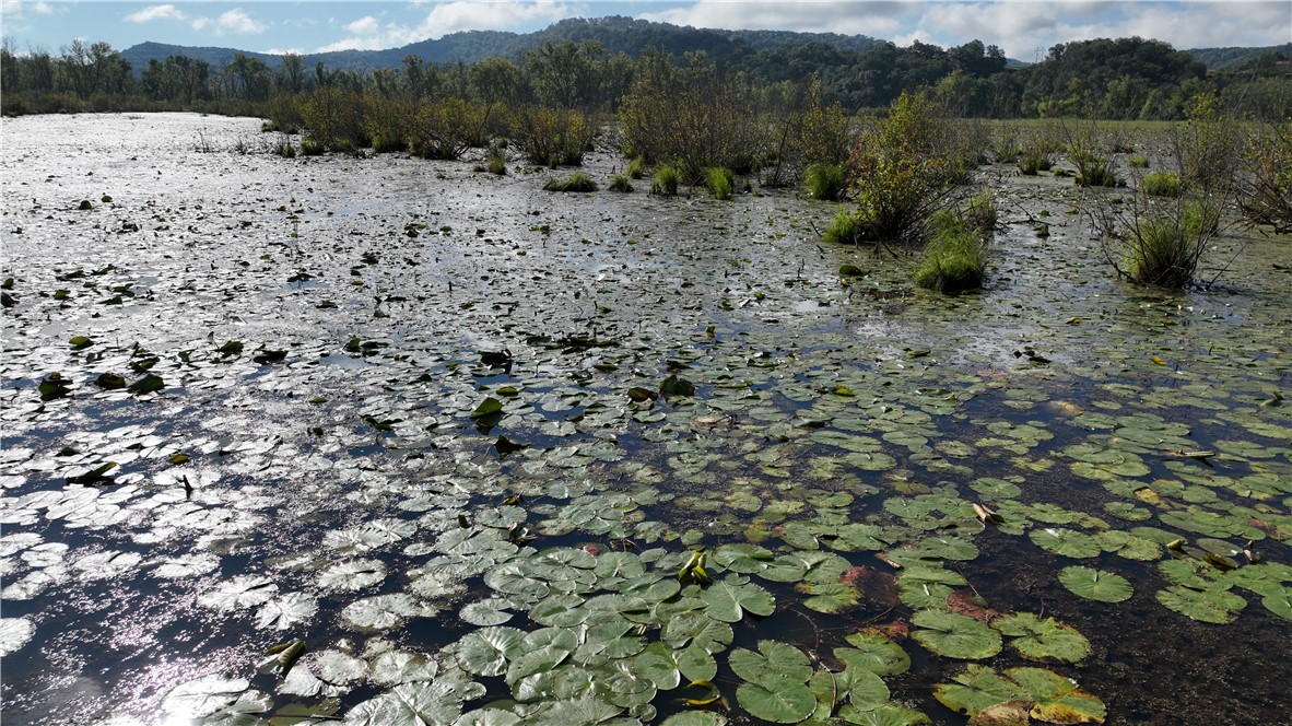 Land at XX Cesler Valley Rd, Alma, WI 54610 — photo 25