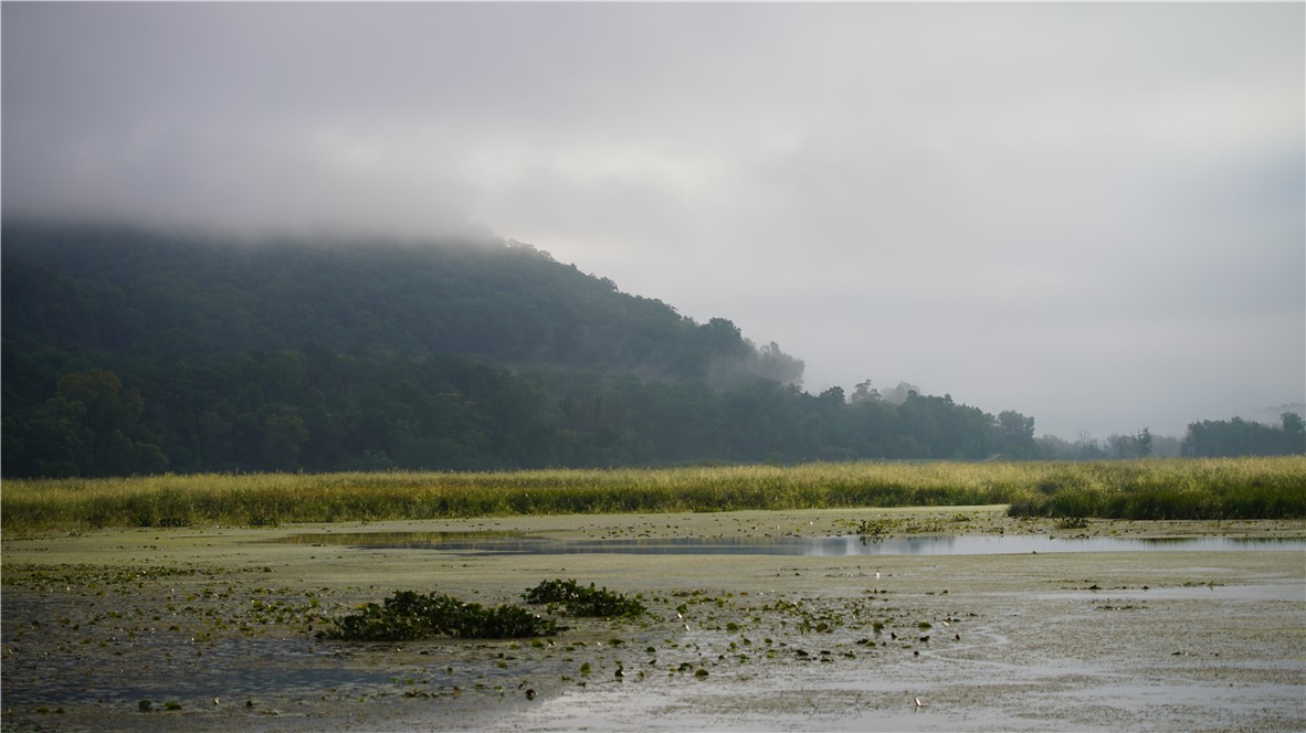 Land at XX Cesler Valley Rd, Alma, WI 54610 — photo 26