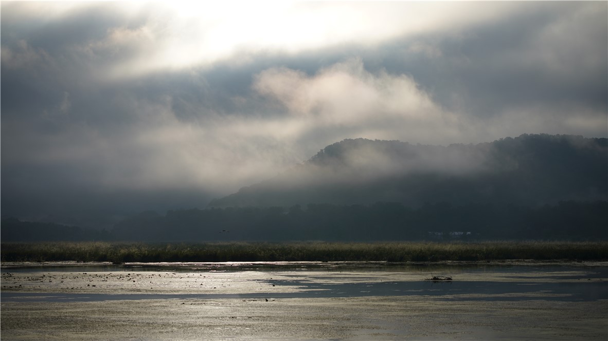 Land at XX Cesler Valley Rd, Alma, WI 54610 — photo 27