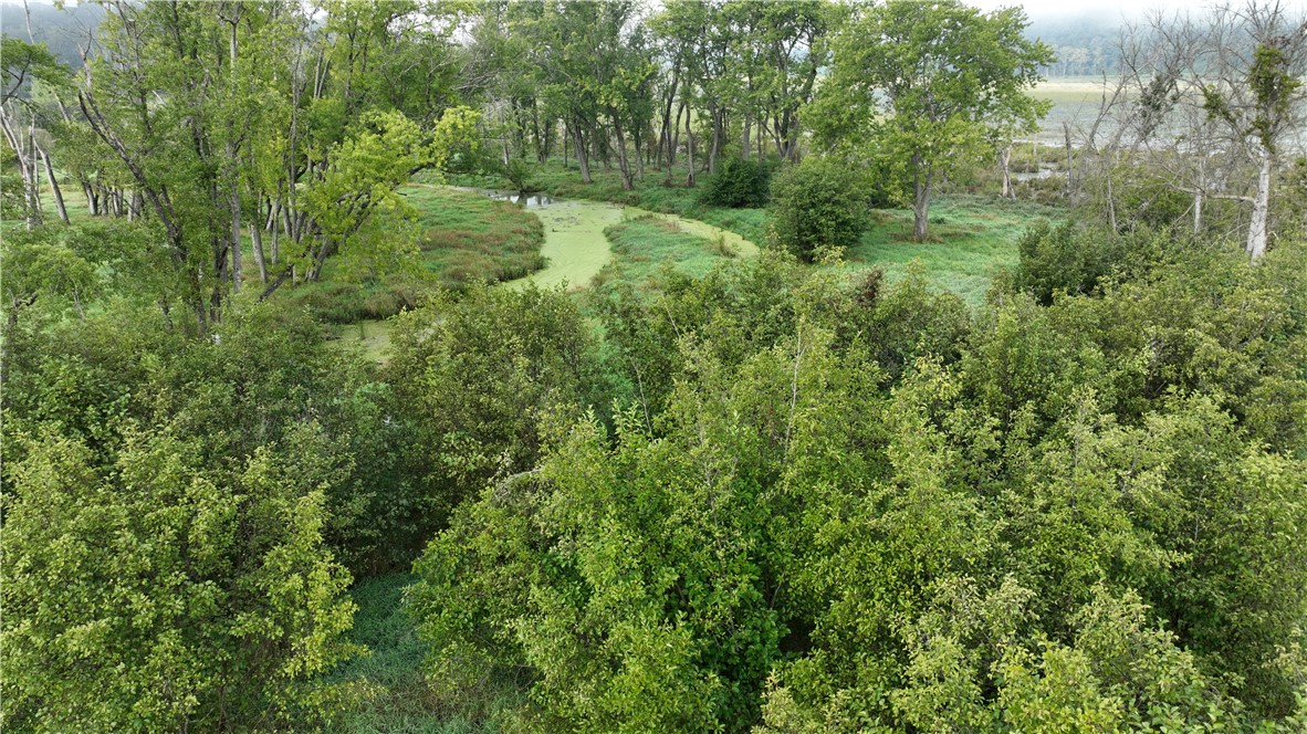 Land at XX Cesler Valley Rd, Alma, WI 54610 — photo 4