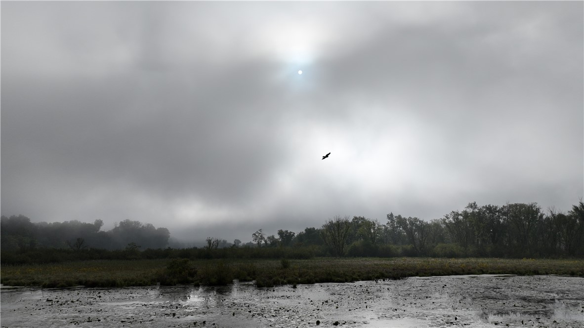 Land at XX Cesler Valley Rd, Alma, WI 54610 — photo 31