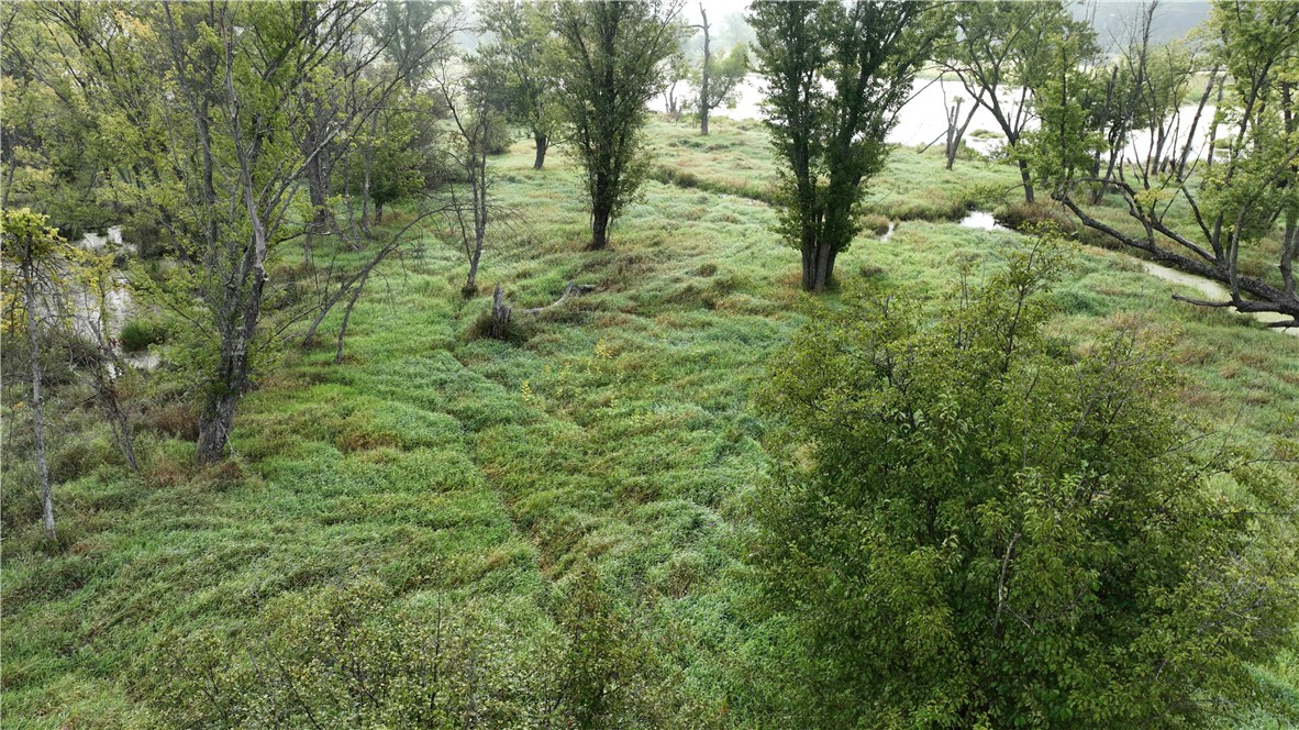 Land at XX Cesler Valley Rd, Alma, WI 54610 — photo 5