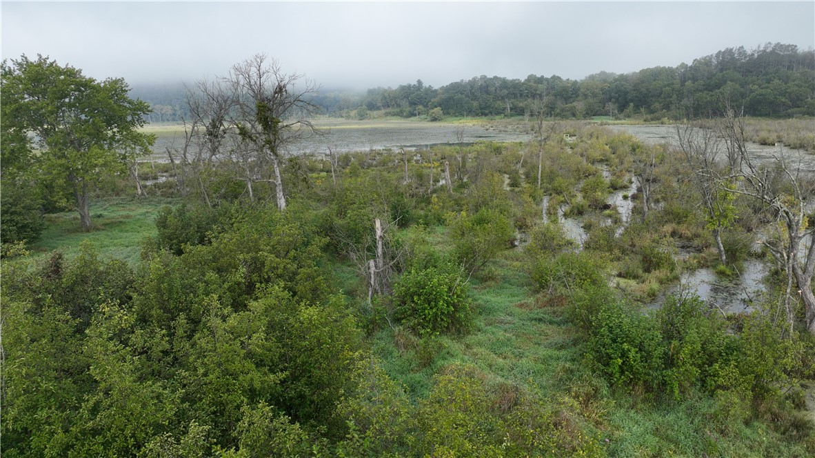 Land at XX Cesler Valley Rd, Alma, WI 54610 — photo 6