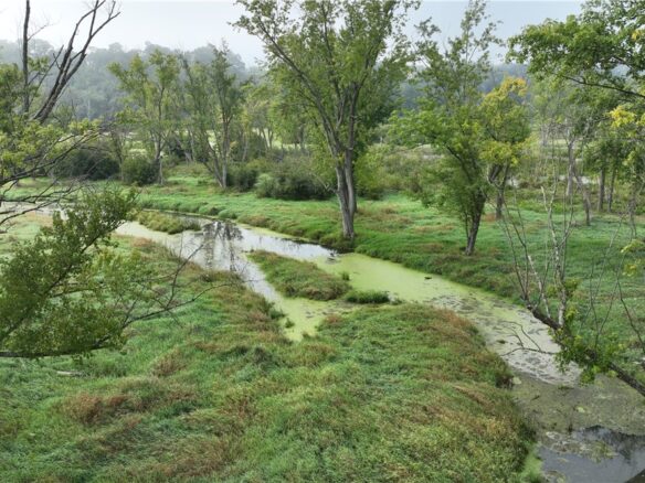 Land at XX Cesler Valley Rd, Alma, WI 54610 — photo 1