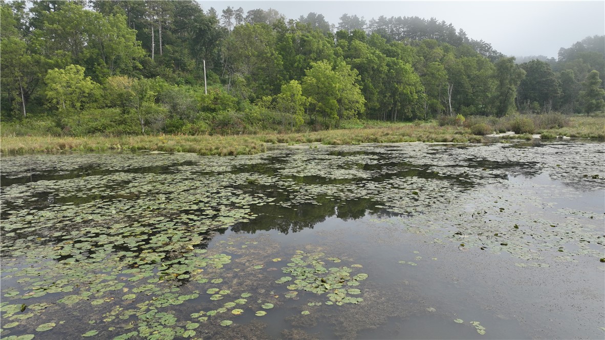 Land at XX Cesler Valley Rd, Alma, WI 54610 — photo 7