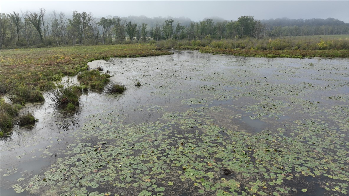 Land at XX Cesler Valley Rd, Alma, WI 54610 — photo 8