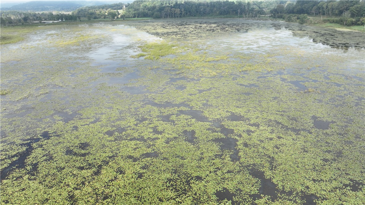 Land at XX Cesler Valley Rd, Alma, WI 54610 — photo 9