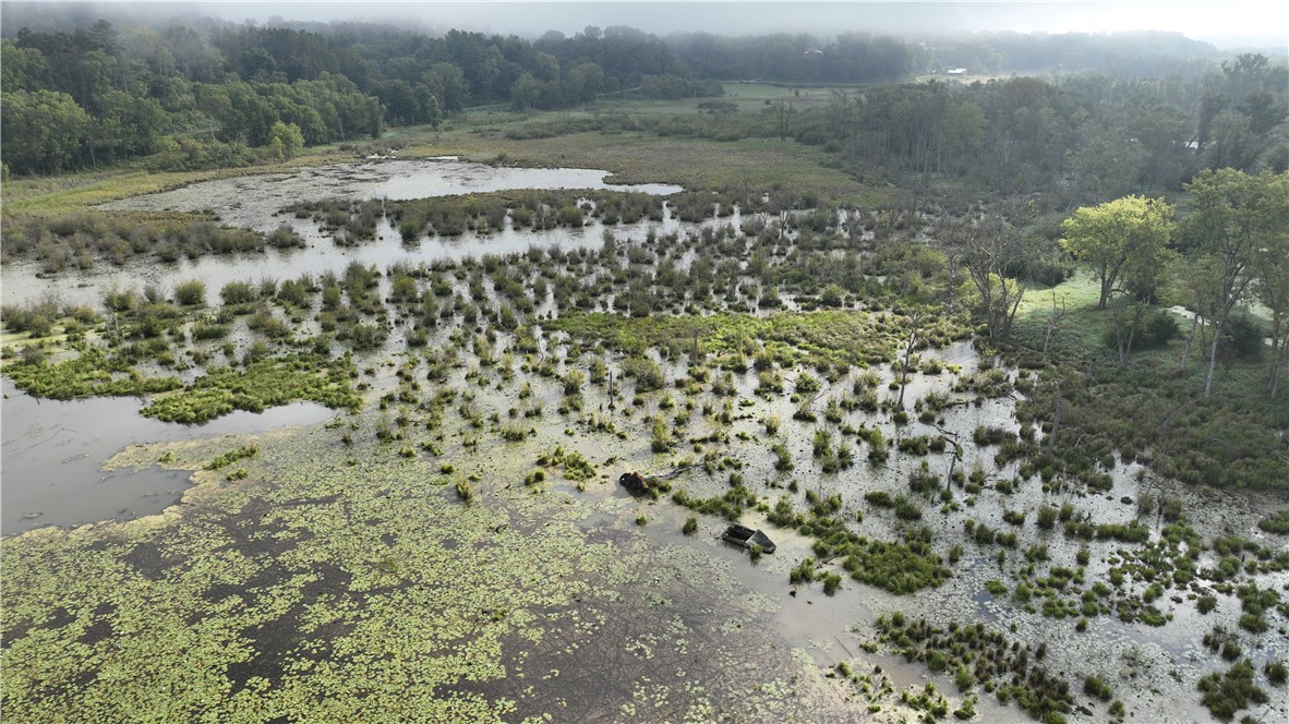 Land at XX Cesler Valley Rd, Alma, WI 54610 — photo 10