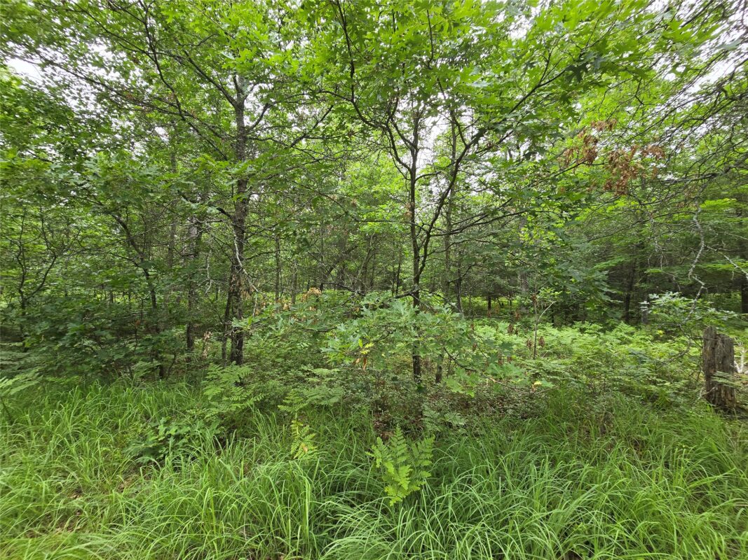 Land at XXX Saylors Lane, Siren, WI 54872 — photo 4