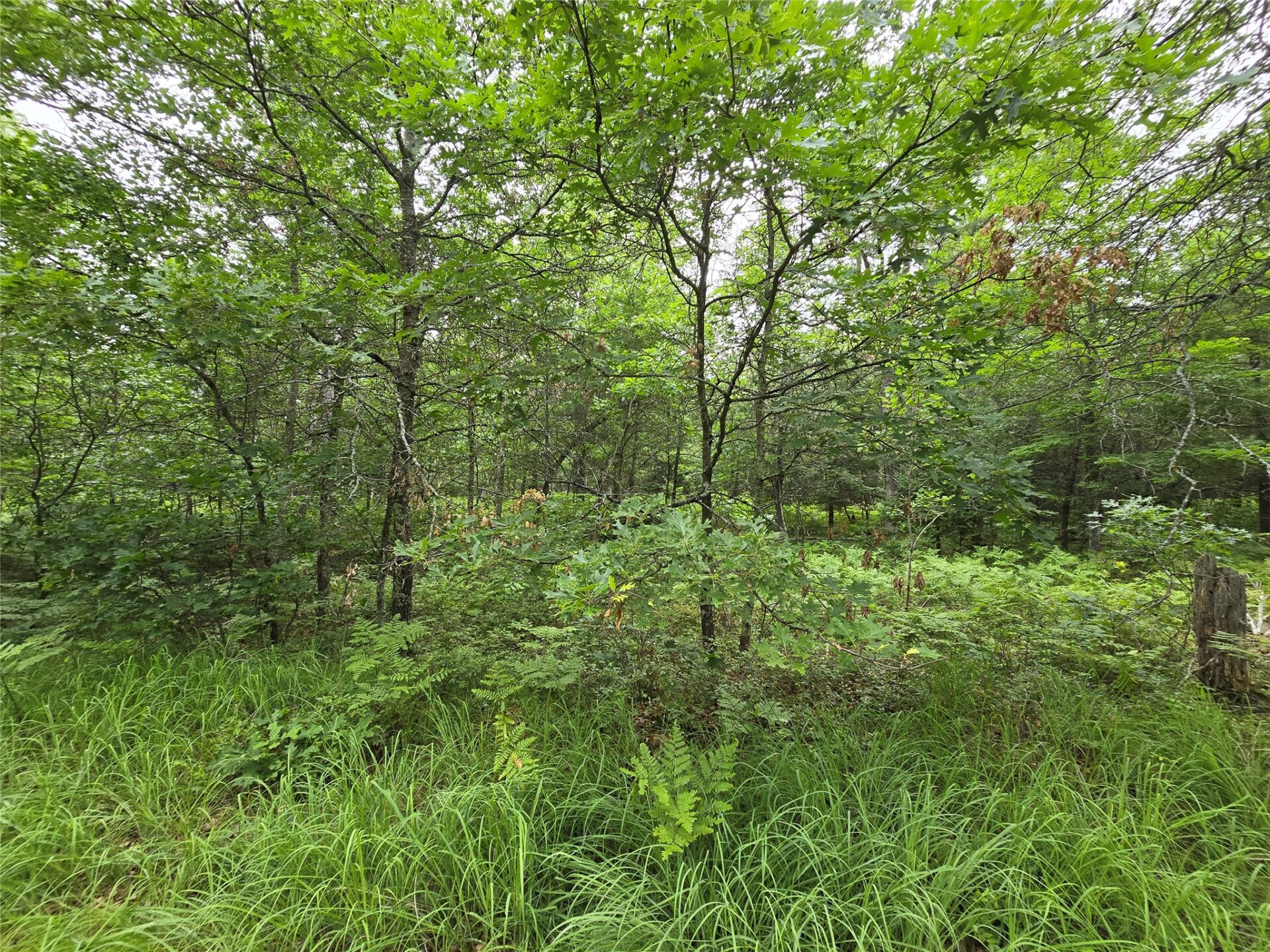 Land at XXX Saylors Lane, Siren, WI 54872 — photo 4
