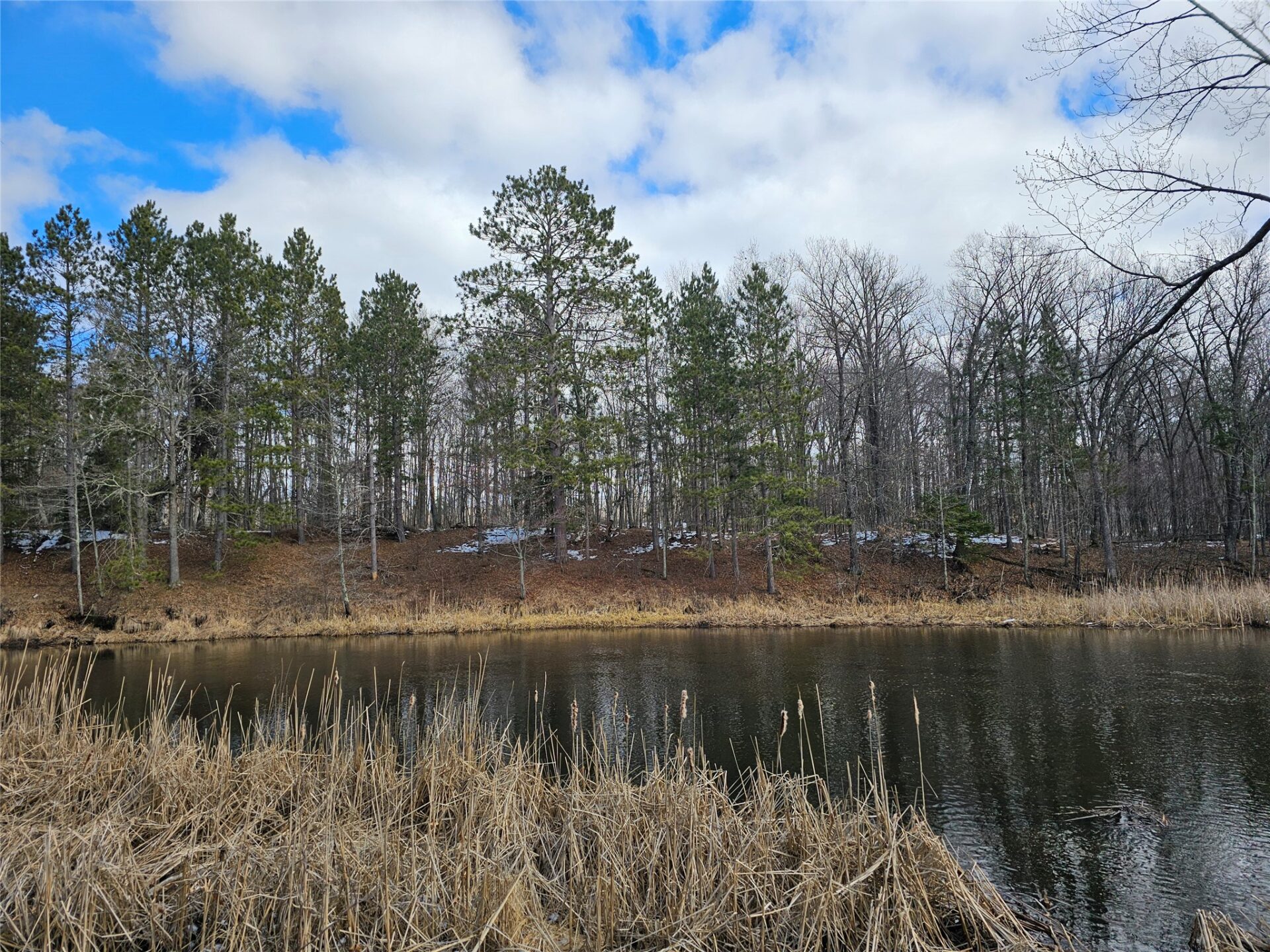 Land at XXX Saylors Lane, Siren, WI 54872 — photo 5