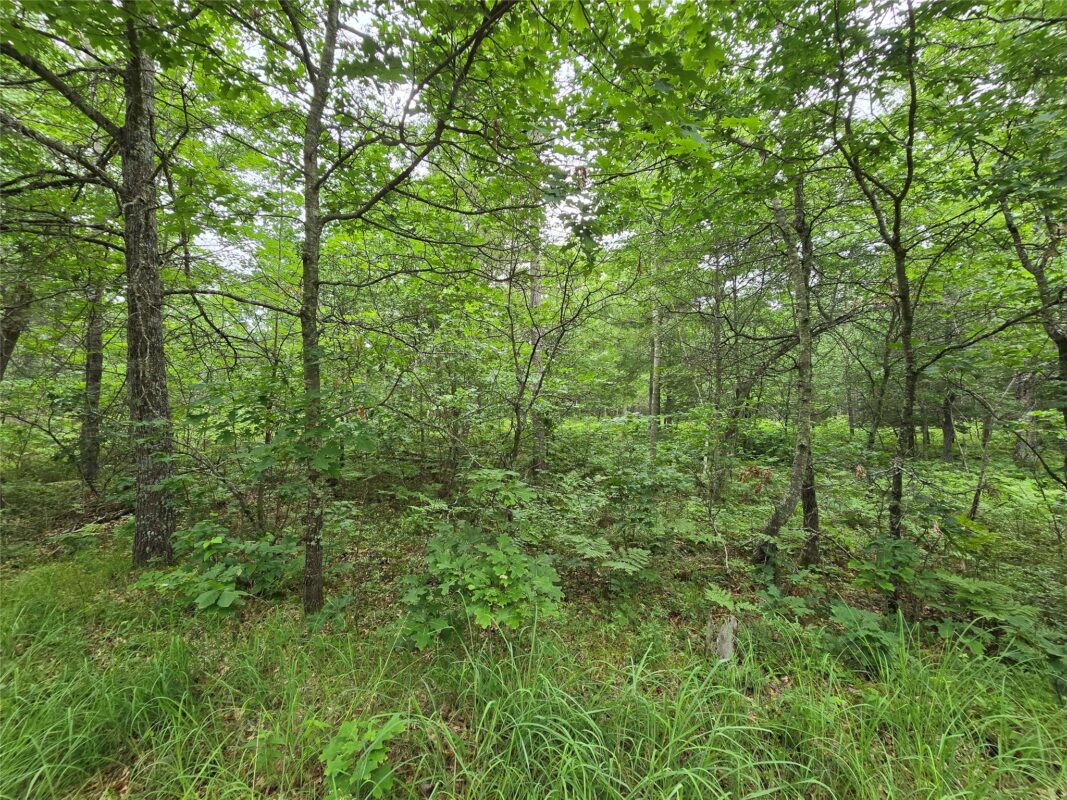 Land at XXX Saylors Lane, Siren, WI 54872 — photo 6