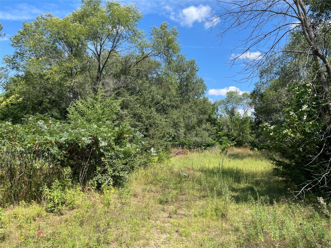 Land at Lot #1 Mathews Drive, Eau Claire, WI 54703 — photo 15