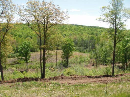 Lot 1 On Highway 169, Mellen, WI